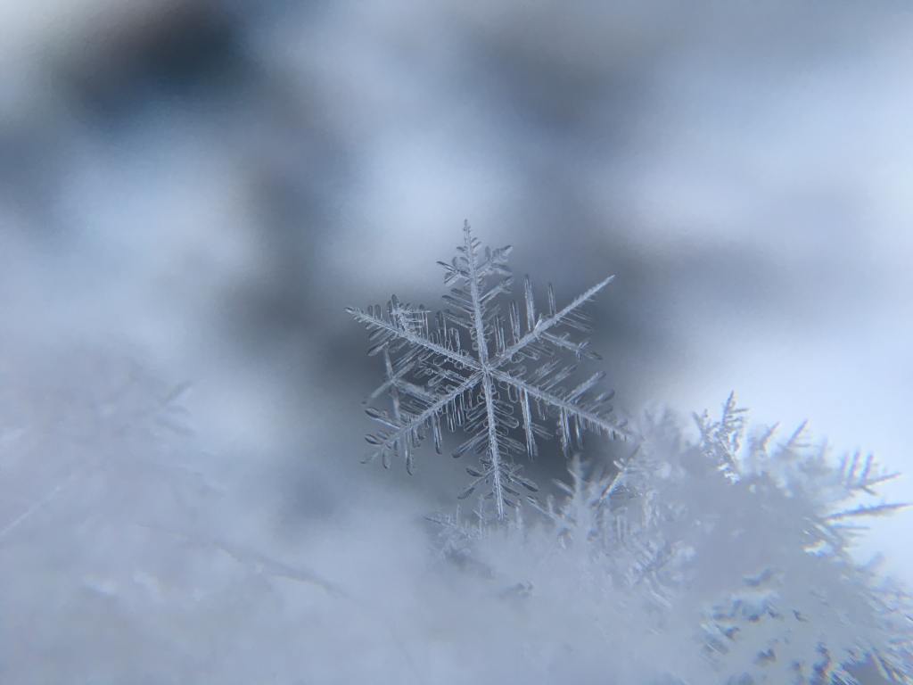 snowflake method
Randy Ingermanson